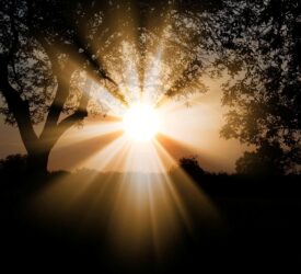 Cured of Mental Illness, Part 1