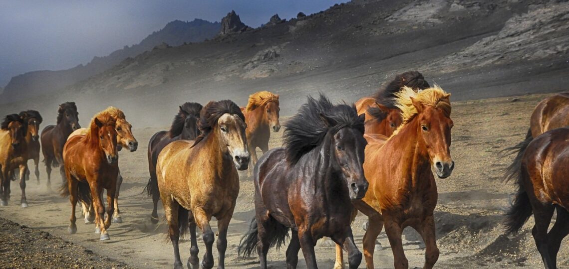 drug addiction rehab