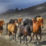 drug addiction rehab