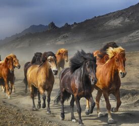 Freed from Drug Addiction — No Rehab Needed!